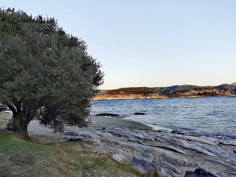 Apartamento Con Jardin Y Piscina Temporada Verano Privados Samieira Luaran gambar