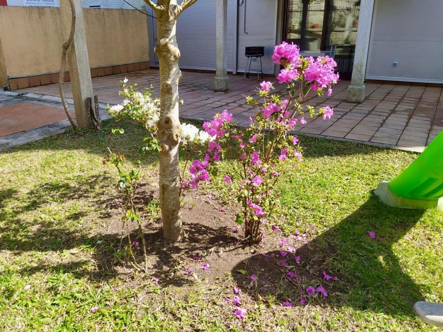 Apartamento Con Jardin Y Piscina Temporada Verano Privados Samieira Luaran gambar