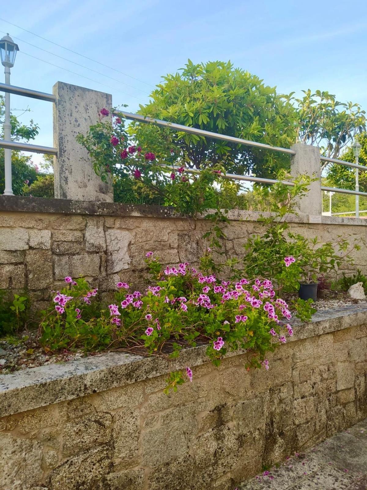 Apartamento Con Jardin Y Piscina Temporada Verano Privados Samieira Luaran gambar
